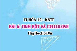 Cấu tạo phân tử Tinh bột, Cellulose? tính chất hóa học và ứng dụng của tinh bột và Cellulose? Hóa 12 bài 6 KNTT